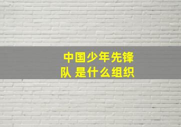 中国少年先锋队 是什么组织